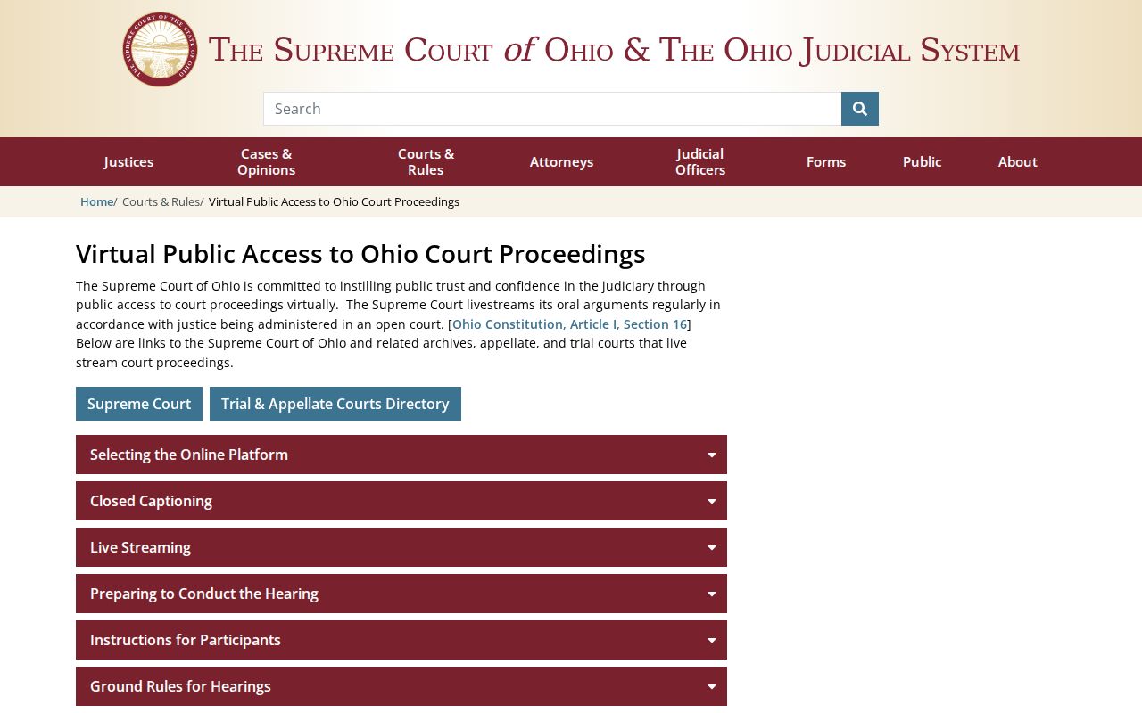 Paulding County court schedule Ohio virtual court access source